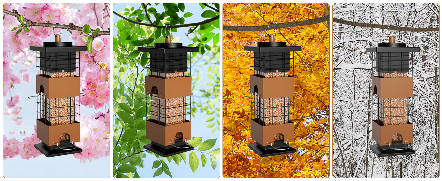 Bird Feeders