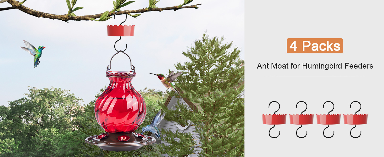 Ant Moat for Hummingbird Feeders