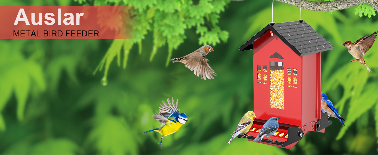 Bird Feeder