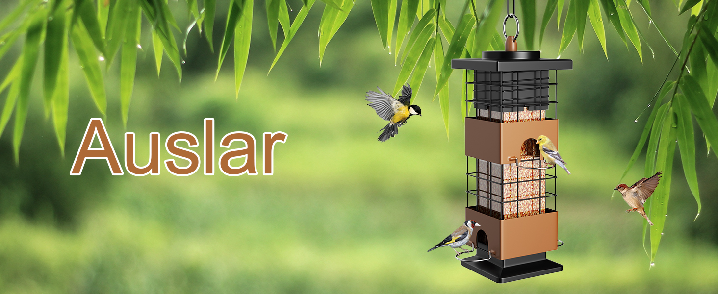 Bird Feeders