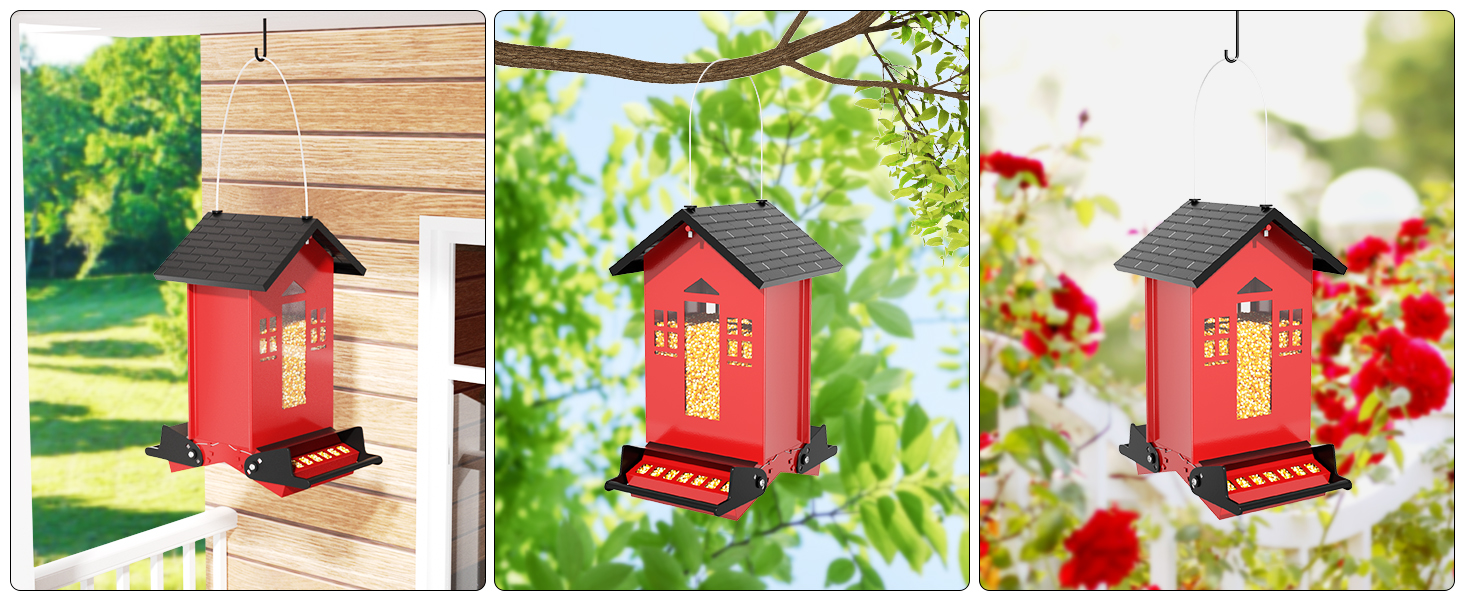 Bird Feeder