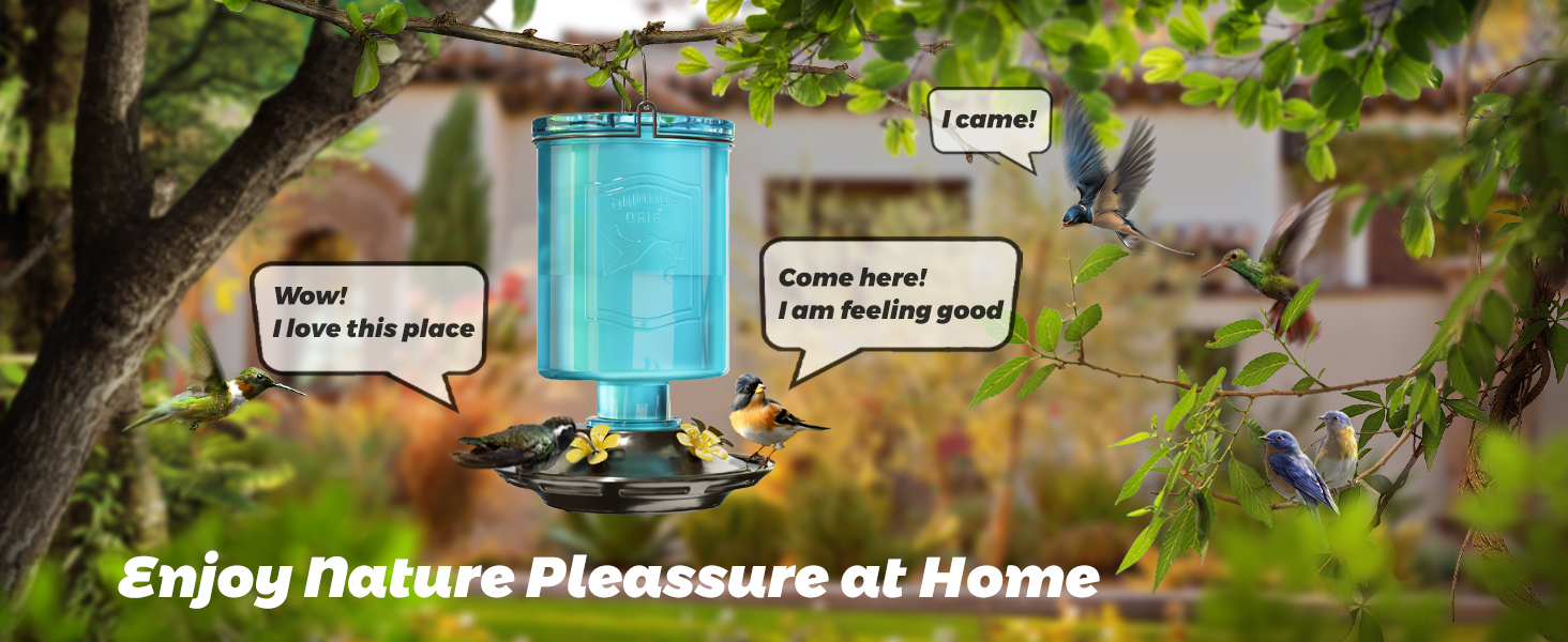 Hummingbird Feeder