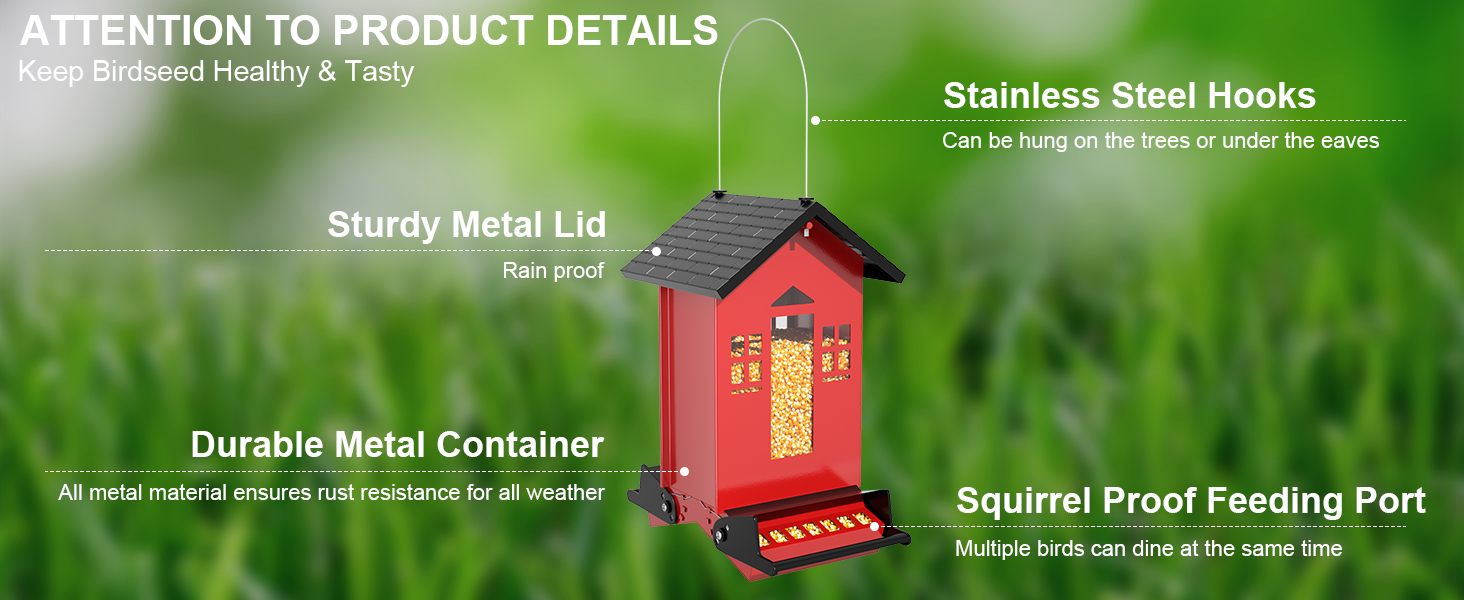 Bird Feeder