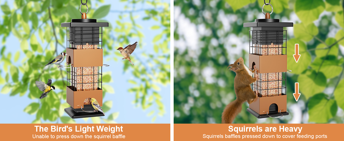 Bird Feeders