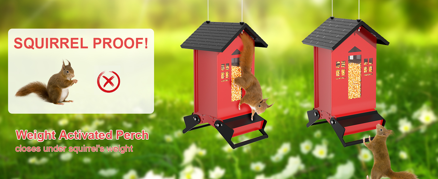 Bird Feeder