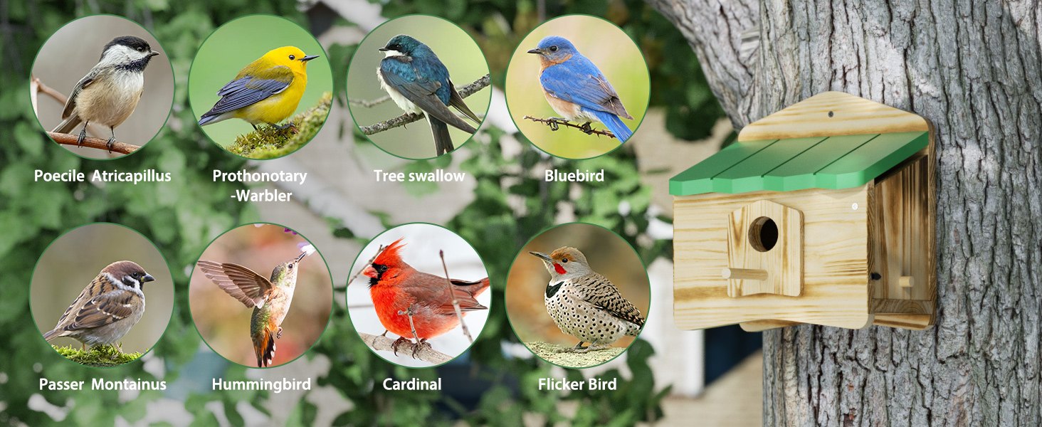 bird houses for outside