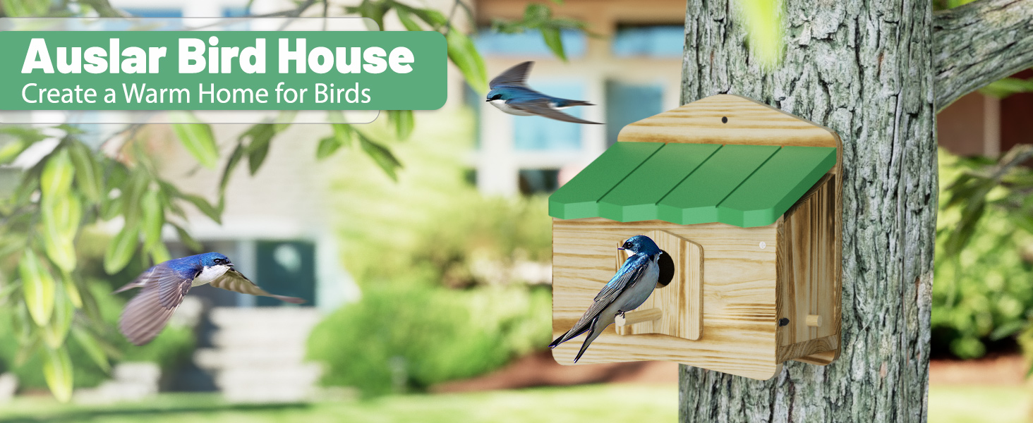 Bird house