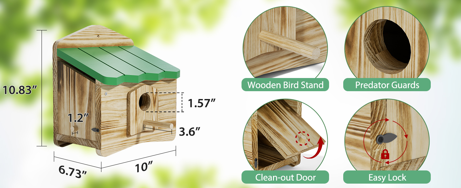bird houses