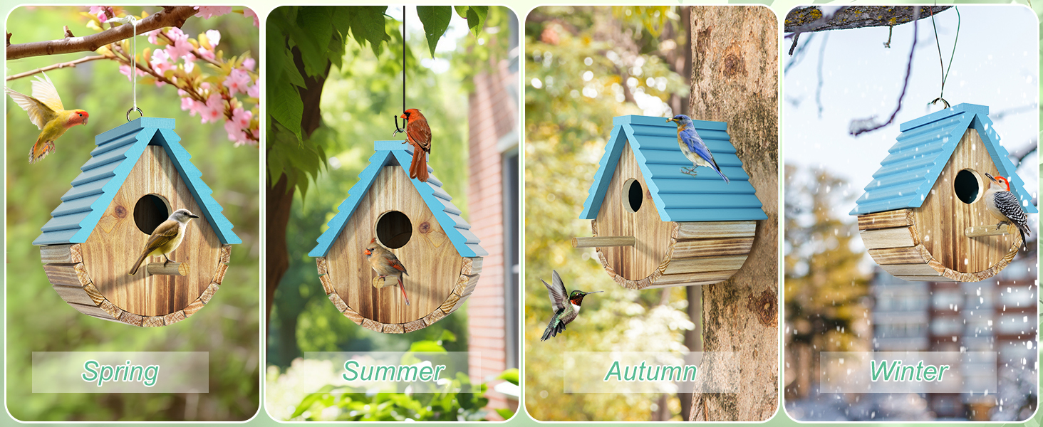 bluebird house