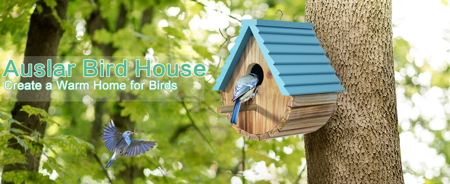 bird houses for outside