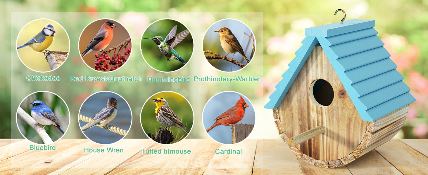 bird houses