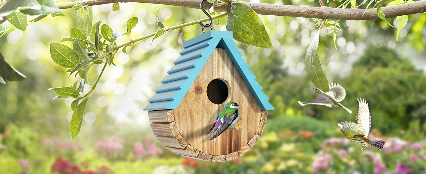 bird house